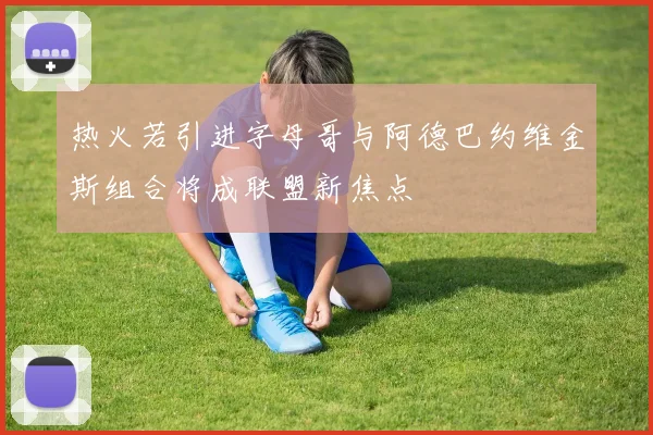 热火若引进字母哥与阿德巴约维金斯组合将成联盟新焦点